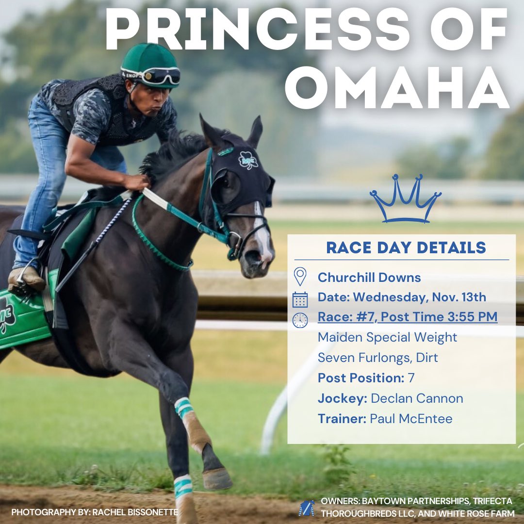 Trifecta_Thoros's tweet photo. Racing TODAY &amp; TOMORROW! 🐎 
Catch the Trifecta Thoroughbreds in action at Churchill Downs and Charles Town. It’s going to be a fun two days of racing! 

#trifectathoroughbreds #princessofomaha #baytownbeatle #baytownboujee #mcenteeracinginc https://t.co/U1sGtlmwTG
