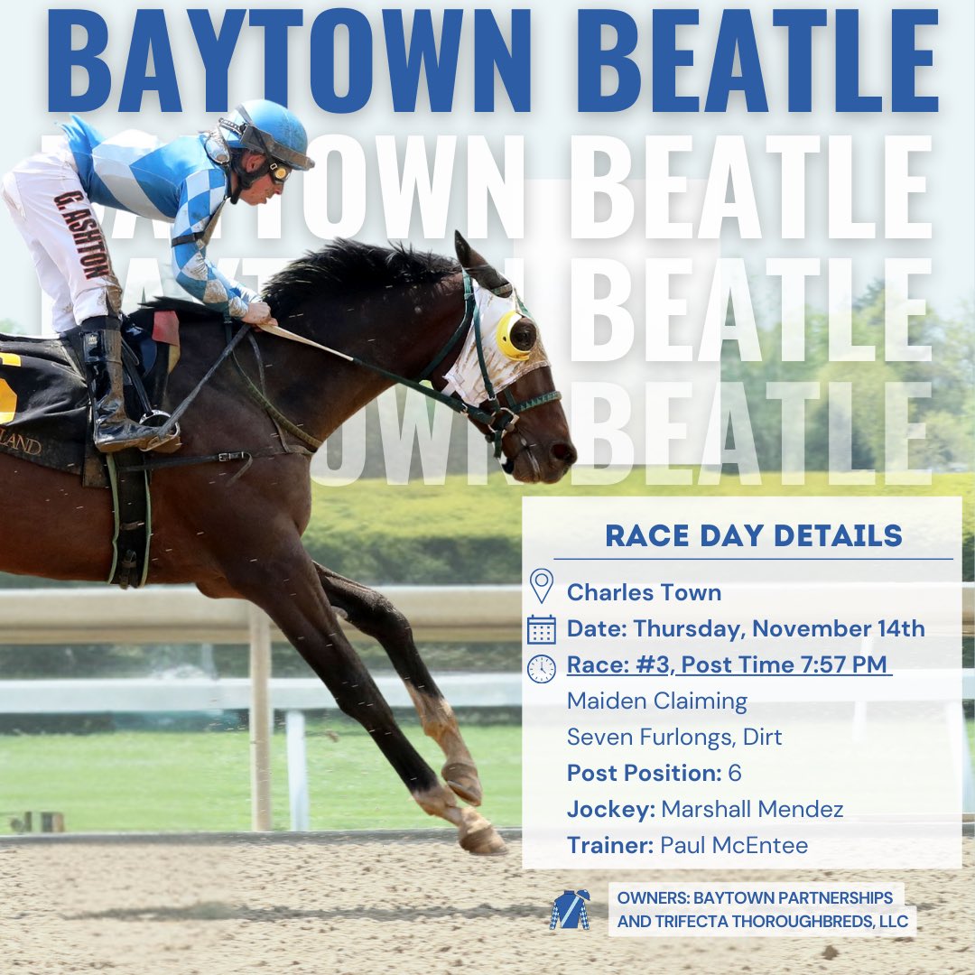 Trifecta_Thoros's tweet photo. Racing TODAY &amp; TOMORROW! 🐎 
Catch the Trifecta Thoroughbreds in action at Churchill Downs and Charles Town. It’s going to be a fun two days of racing! 

#trifectathoroughbreds #princessofomaha #baytownbeatle #baytownboujee #mcenteeracinginc https://t.co/U1sGtlmwTG