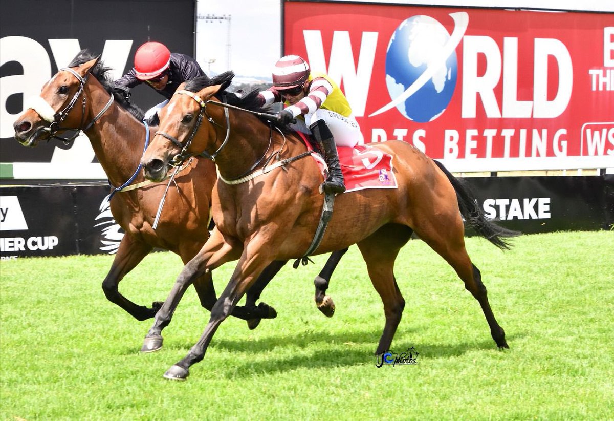 One religion records her 3rd career victory 🏇🏼 congratulations to her owner Mr PJ Moor🍾 thank you to trainer @rr_magner_racing @casebotha 🙏

Thank you to my sponsors @ecosimplysolarptyltd 🙏