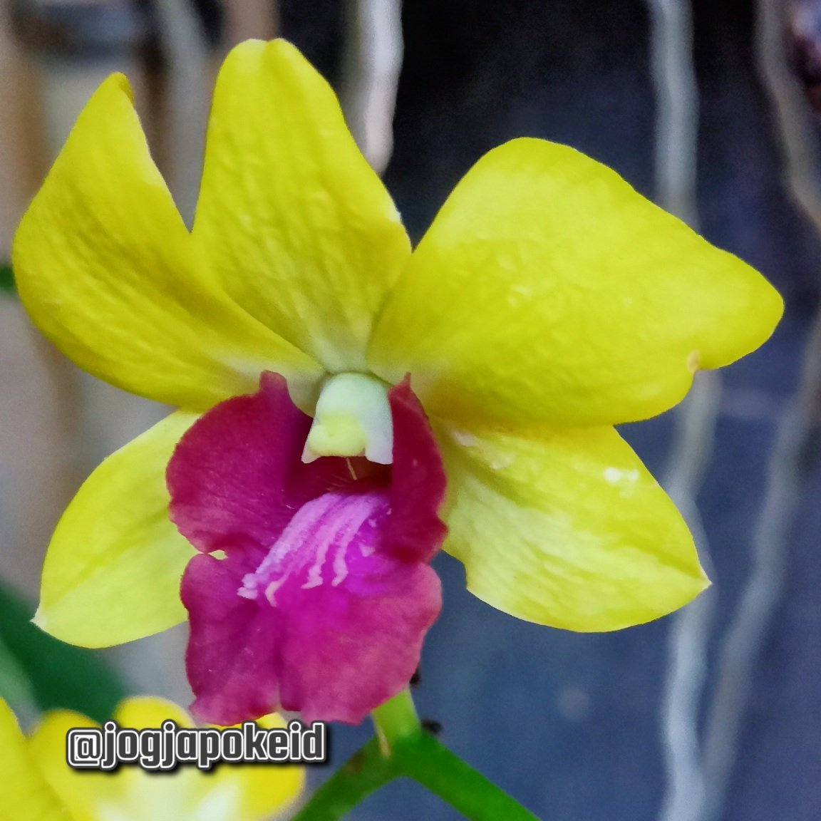 <a href="/Bambang01250678/">Paul McC🔥🌤🦂🌱🌱🌱🍁🌺🌷The Beatles...The Legend</a> <a href="/newIding30/">ABAH IDING 🇮🇩</a> <a href="/1trenggalek/">Polres Trenggalek</a> <a href="/kemenhub151/">Kemenhub RI</a> <a href="/Urrangawak/">Cakrawalá Nusantará</a> <a href="/NusantaraJaya26/">Nusantara😍</a> <a href="/Opa9cc/">Child of the Moon</a> <a href="/2TRafiS1/">_Wong_Biasa_</a> <a href="/amandasah__/">Am.</a> <a href="/Annas_Cim/">🇮🇩Qyanqyun🇮🇩</a> <a href="/AntoniusCDN/">🐨 𝕮𝖗𝖎𝖘𝖙𝖆𝖓𝖙𝖔 𝕯 𝕹 🐨</a> @aqua_seger02 <a href="/165Hati/">🄳🄴🄽 🄱🄰🄶🄾🄴🅂</a> <a href="/jugulsijug17195/">Sijugul</a> <a href="/qih_faqih93/">Qih..</a> @TKastanto19042 <a href="/GitaGladies/">GG Collection</a> <a href="/SitiRaf21214506/">fi/scorpi🌟</a> <a href="/SuhartiniTaurus/">Budhe Tini</a> <a href="/BungaNdaru/">UB Yu</a> <a href="/aariejazz/">𝙰𝚛𝚒𝚎 𝙺𝚎𝚙𝚛𝚘𝚔🇮🇩</a> <a href="/sami86pilang/">🇮🇩🐯𝐋𝐞𝐚𝐝𝐞𝐫'𝐬🐯🇮🇩</a> <a href="/Hiburanajaaya81/">Hiburan saja ya</a> @ci_timey <a href="/heni_nuraeni123/">Mojang Priangan🇮🇩</a> <a href="/2Suryo/">Suryo Rantjono 2 💙</a> <a href="/Mamamochi1/">Mamamochi🦋</a> <a href="/moh_aak/">🇮🇩🇮🇩Moh Aak Alkaromah🇮🇩🇮🇩</a> <a href="/AlineRaztha/">Aline Raztha</a> <a href="/mimih6mei/">ᗰIᔕᗩY</a> <a href="/R1_Adv/">Ridwan R1🇮🇩</a> terima kasih
⏩➽mas <a href="/Bambang01250678/">Paul McC🔥🌤🦂🌱🌱🌱🍁🌺🌷The Beatles...The Legend</a>
⏩➽abah <a href="/newIding30/">ABAH IDING 🇮🇩</a>
 
<a href="/GitaGladies/">GG Collection</a>
<a href="/RPrima789/">🆙✩࿐ 🅱️🅿️riⓂ️a777 🇲🇨</a>
<a href="/SitiRaf21214506/">fi/scorpi🌟</a>
<a href="/CantikaCahyhani/">Bunda Cantika</a>
<a href="/SuhartiniTaurus/">Budhe Tini</a>
<a href="/TalentaAndilau/">🅰️ndilau ☦️alenta 1️⃣8️⃣0️⃣9️⃣</a> 
<a href="/BungaNdaru/">UB Yu</a>
@WIDYA_N_2311
<a href="/putri_adinda_/">Dinda</a> 
<a href="/aariejazz/">𝙰𝚛𝚒𝚎 𝙺𝚎𝚙𝚛𝚘𝚔🇮🇩</a>
<a href="/nono_pramono/">Nono Pramono 💙</a>  
<a href="/sami86pilang/">🇮🇩🐯𝐋𝐞𝐚𝐝𝐞𝐫'𝐬🐯🇮🇩</a>
@4HurufNamaKu
<a href="/503PL0/">Budisuplo</a>
<a href="/mataharii234/">Elang</a>