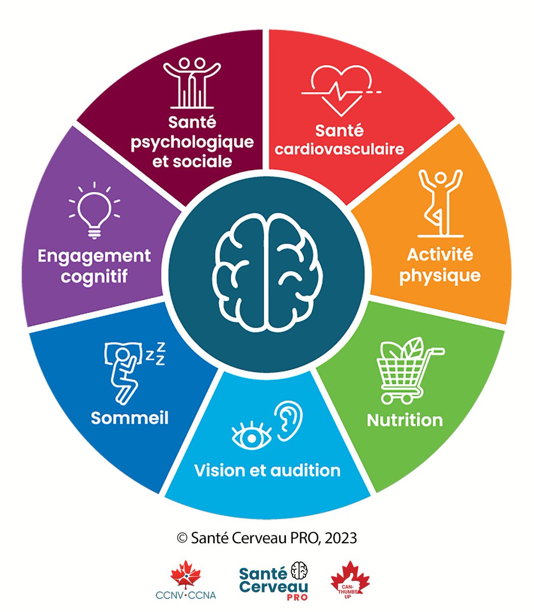 🧠Nous sommes ravis de partager avec vous le projet Santé Cerveau PRO en quelques mots - une infographie résumant les connaissances et les actions clés pour la santé du cerveau lors du vieillissement. 

Nous vous invitons à partager cette infographie. ccna-ccnv.ca/fr/sante-cereb…