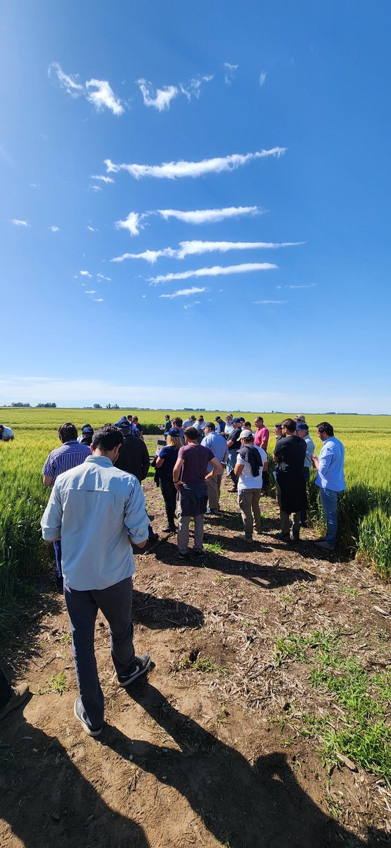 Jonatan Mauro tweet media