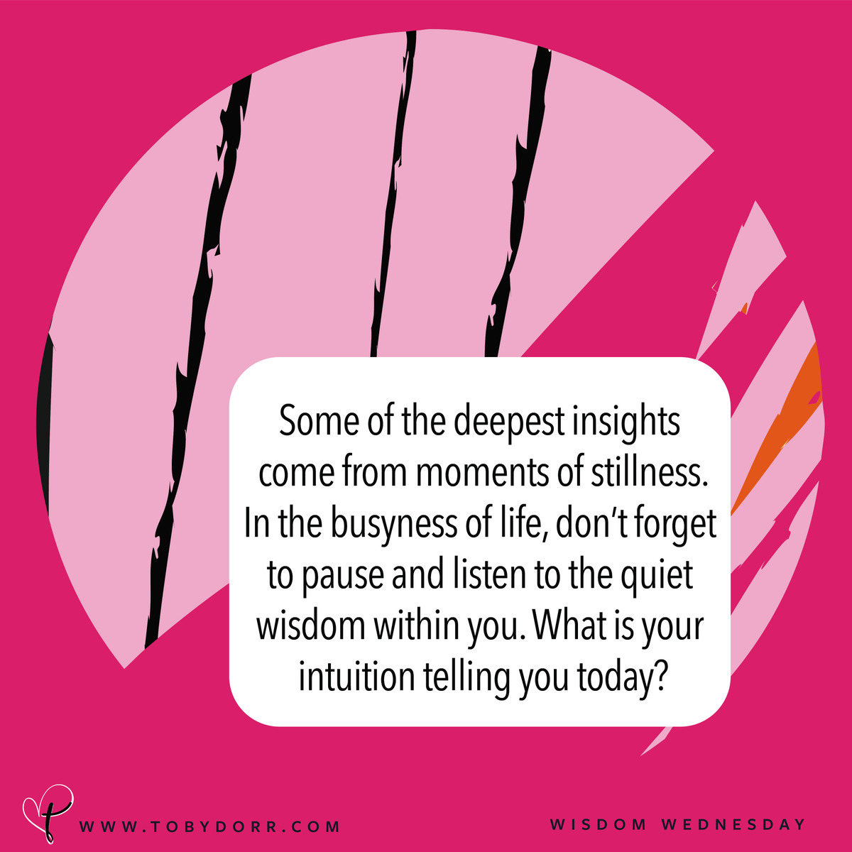 TobyDorrAuthor's tweet photo. Amidst the chaos, find solace in the silence within. 🌿 Trust your intuition, it knows the way. ✨ #ListenToYourself #QuietWisdom #WisdomWednesday #TobyDorr #FierceGrace #fierceConversationsWithToby  #FierceConversations #LivingWithConviction #CagedEchoes https://t.co/XEeasoVWu0 https://t.co/nptHpFDdZ6