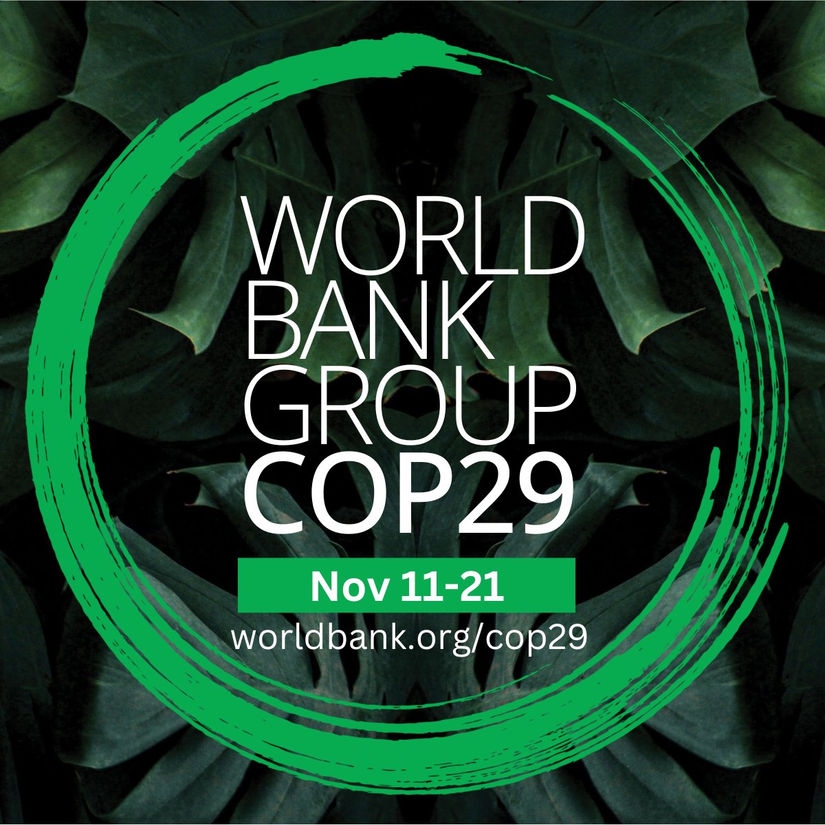 World Bank Africa tweet media