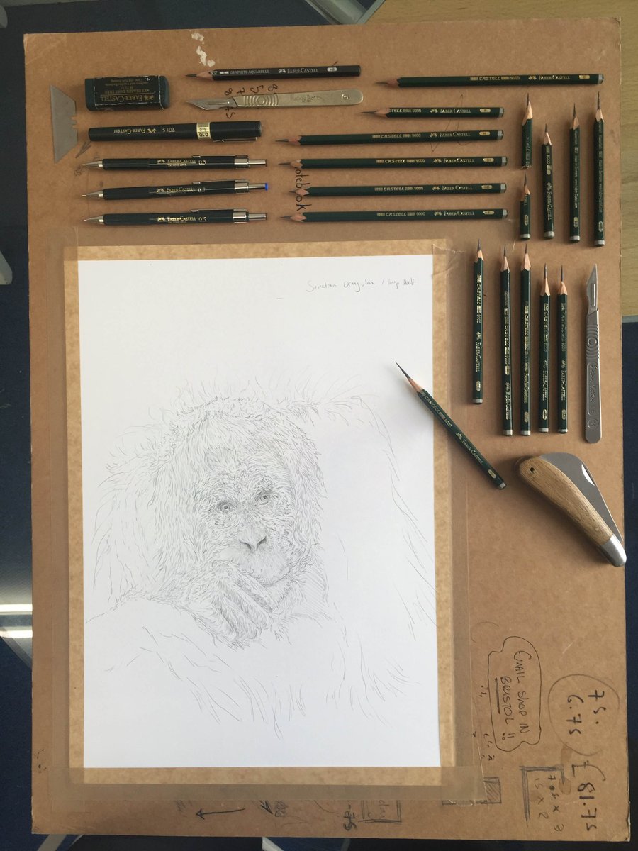 BRillustrations's tweet photo. And another one done, 

I'm gonna do a few primates this week and then we're on the home stretch where the concept work for the new book is concerned.

https://t.co/6sr42VgreT

If you're interested in owning a original piece of this project, click on the link above

B

#Drawing https://t.co/eLFtzIwsJd