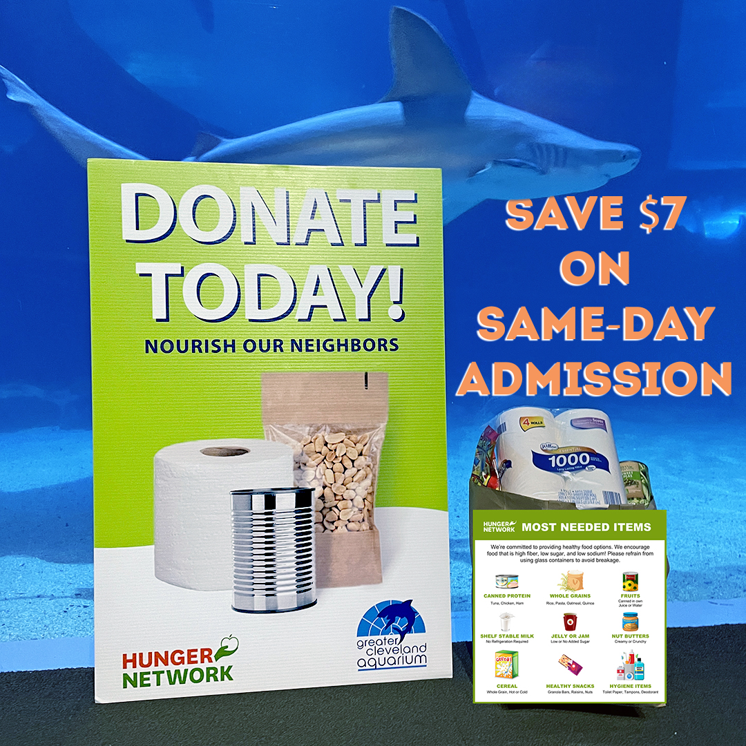 cleaquarium's tweet photo. 🥫🧻 #CLEAquarium and @Hunger_Network are encouraging those in a position to help to drop off much-needed items today through Tuesday, November 19 for $7 off same-day admission!

🔗 More info: https://t.co/16Y9eF5PCC

#hungernetwork https://t.co/WVFi7VOq1e
