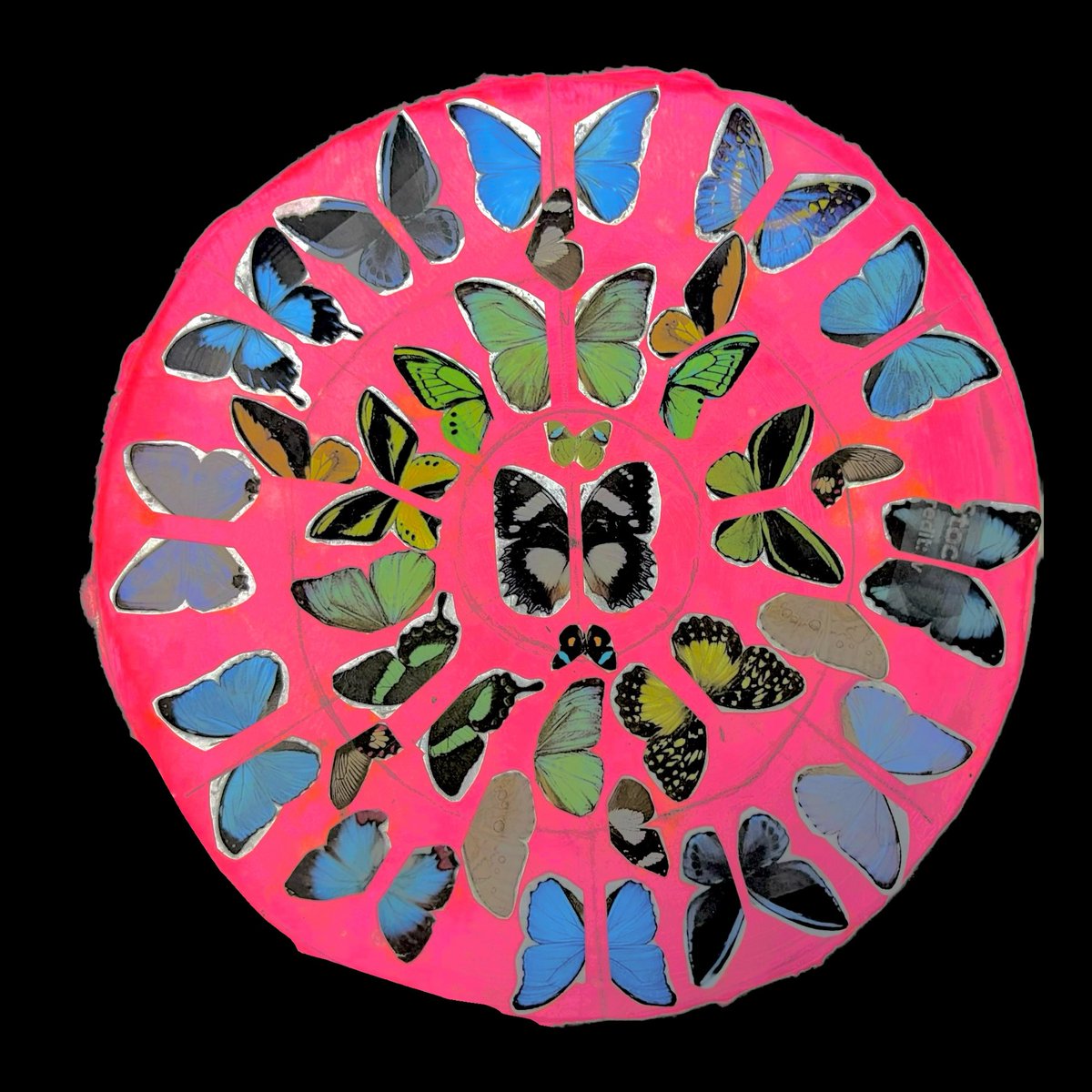 🦋Just seen the incredible Year 6 artwork inspired by Damien Hirst’s butterfly pieces! Take a look at one of the children's final pieces. The colours and patterns are so striking and vibrant. Amazing job, young artists! 🎨✨ #ArtInspiration #Year6Art #DamienHirst <a href="/hirst_official/">Damien Hirst</a>