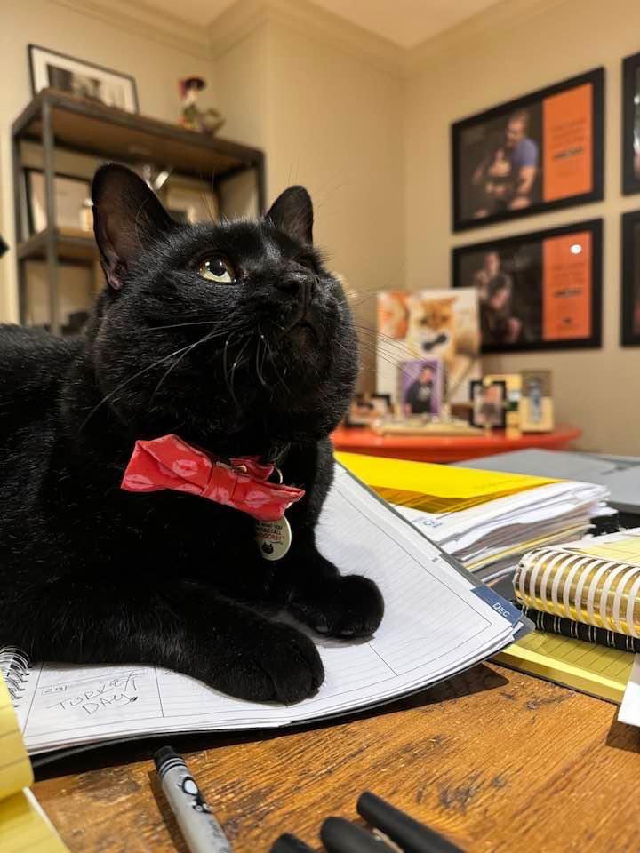 Soft Side tweet media