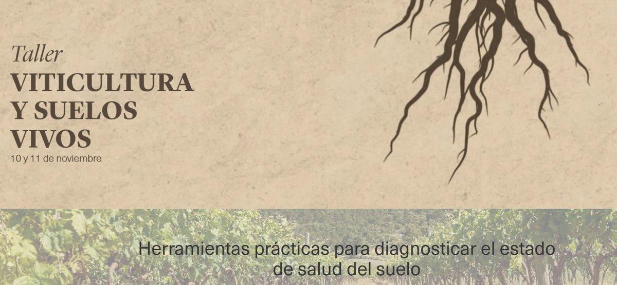 SoilMicroEcol's tweet photo. Speaking at the Viticulture and Living Soils workshop organized by Futuro Viñador. We had the opportunity to engage with over 60 winemakers, sharing practical tools for diagnosing soil health, which we use at @neiker_BRTA  in projects such as @PrimaRecrop and @AI4SoilHealth https://t.co/Y0WOutKuts