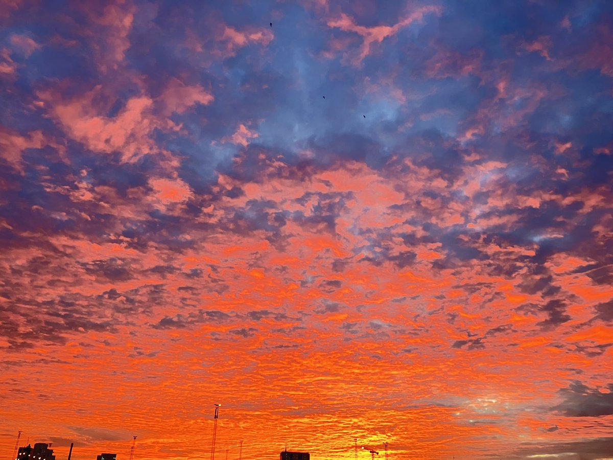 kartiksaiyer's tweet image. A rare day of winter sun that was beautiful at both sunrise and sunset😊
ॐ मित्राय नमः