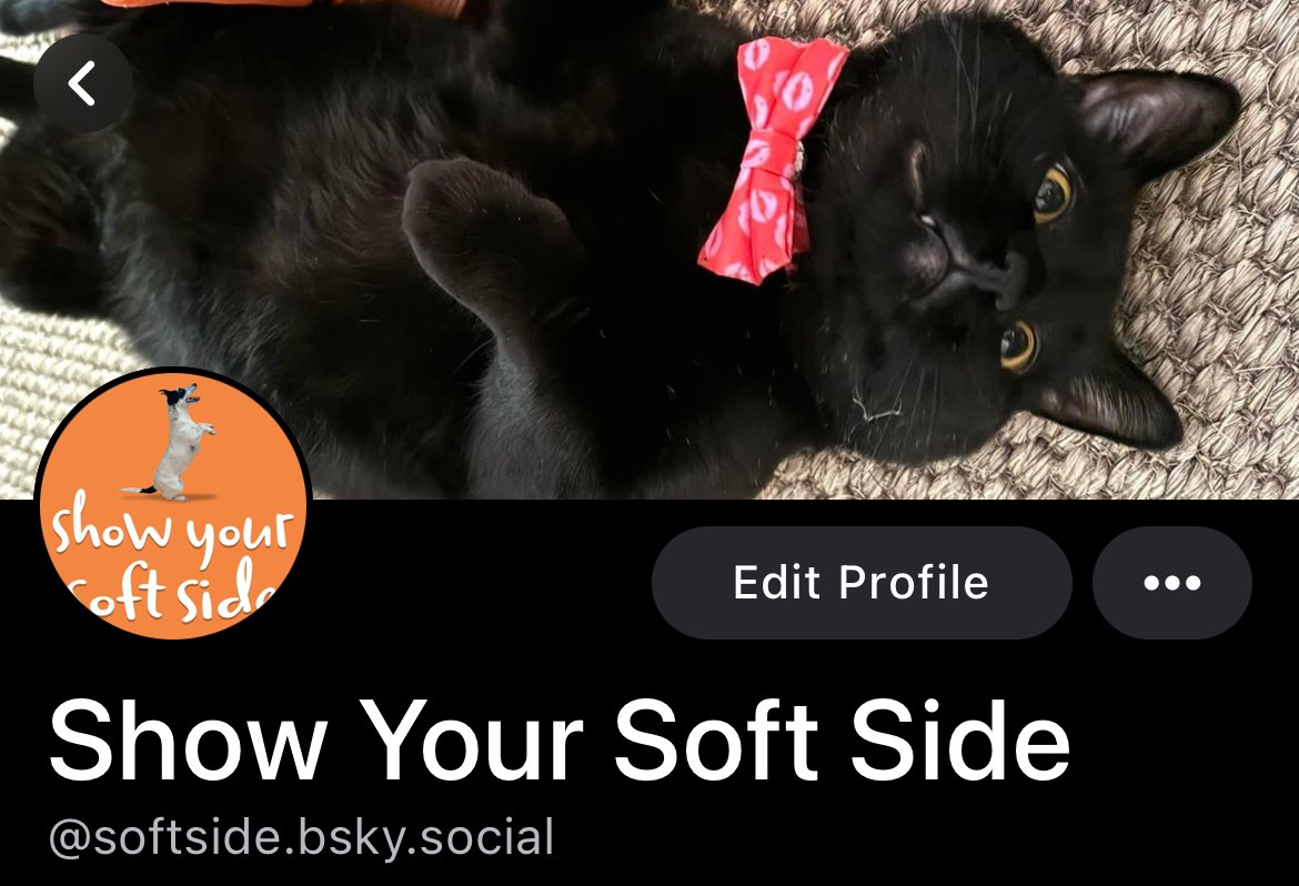 Soft Side tweet media