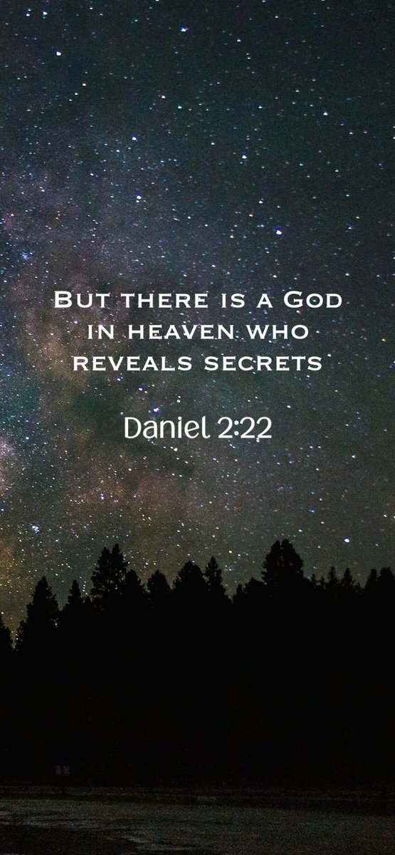 Lissette tweet media