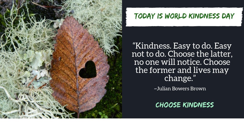 “Kindness. Easy to do. Easy not to do. Choose the latter, no one will notice. Choose the former and lives may change.” ~Julian Bowers Brown #WorldKindnessDay #ChooseKindness #KindnessMatters amzn.to/2STbrcK