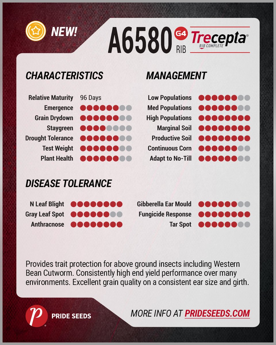 PRIDESeeds's tweet photo. 🚨Power on the Field!🚨 Welcome 'The ENFORCER,' A6580G4RIB, our powerhouse in the PRIDE Power Play lineup for Southeastern Ontario!🏒 Armed with strength &amp; resilience, 'The Enforcer' is ready to defend and boost your harvest! https://t.co/jXGhnVAjcQ

#PRIDEPowerPlay #TheEnforcer https://t.co/KLOHQHt7Sl