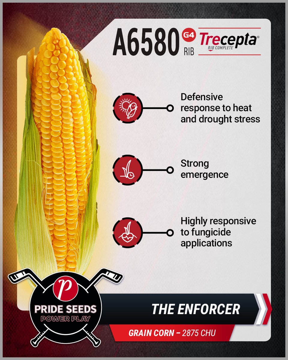 PRIDESeeds's tweet photo. 🚨Power on the Field!🚨 Welcome 'The ENFORCER,' A6580G4RIB, our powerhouse in the PRIDE Power Play lineup for Southeastern Ontario!🏒 Armed with strength &amp; resilience, 'The Enforcer' is ready to defend and boost your harvest! https://t.co/jXGhnVAjcQ

#PRIDEPowerPlay #TheEnforcer https://t.co/KLOHQHt7Sl