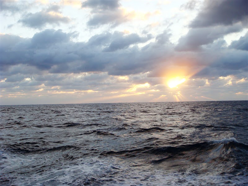 #NOAARESTORE and <a href="/ucsb_nceas/">NCEAS</a> are looking for proposals on synthesis research covering three themes: climate change, fisheries, and the ecological impact of management actions. The RFP is now open! Proposals are due by March 15. Interested? Visit: nceas.ucsb.edu/gulfeco