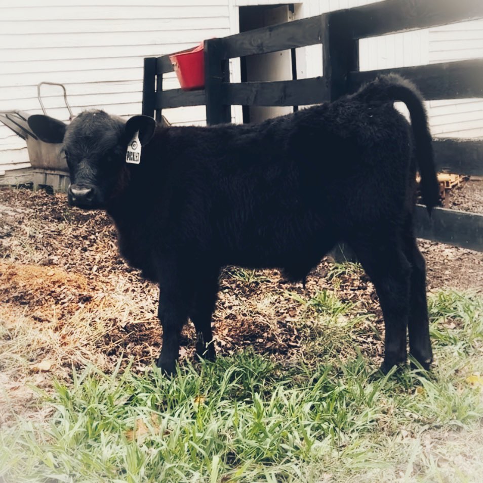 Dustin Kittle tweet media