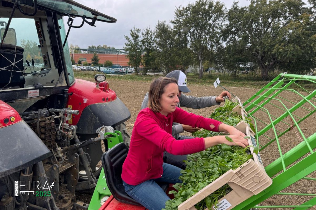 gofar_fira's tweet image. 🌱 #WFIRA25 Seeding has begun!

We're combining: we're taking a new approach to planting…

🦾 The crops have been seeded... manually... and... autonomously! 😱

We're combining the precision of machines with the personal touch of hand planting with @naiotech &amp;amp; Softirob🤩