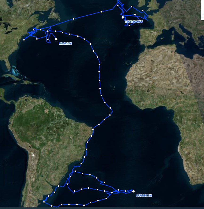 Great #shearwater Franklin has returned to the breeding island! Genetics came back and Franklin is male. Returning fit his incubation shift?!?!
Hayden and Hathaway still in the N Atlantic
#trackseabirds #seabirds #birds #BirdsOfTwitter #birding # scicomm #data #biology