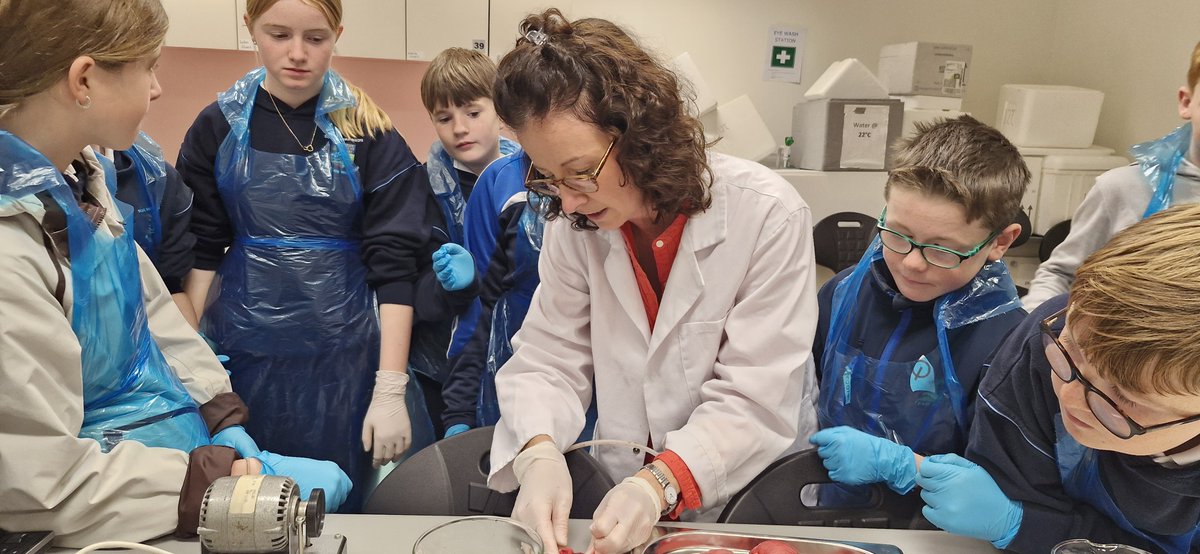 UCC Physiology tweet media