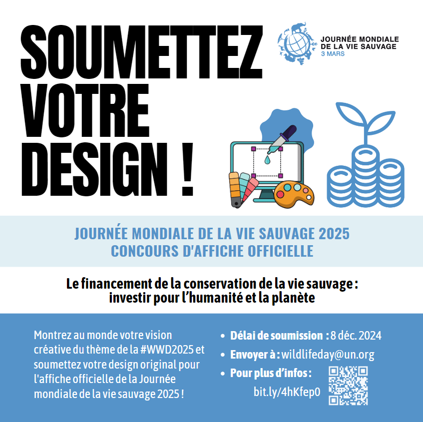 World Wildlife Day tweet media