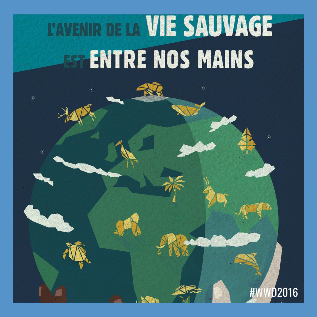 🎨🖼️ Soumettez votre design pour le concours officiel d'affiches de la Journée mondiale de la vie sauvage 2025 !

Date délai : 8 déc 2024
Info : bit.ly/4hKfep0

« Le financement de la conservationde la vie sauvage: investir pour l’humanité et la planète ». 🪙🌱

#WWD2025