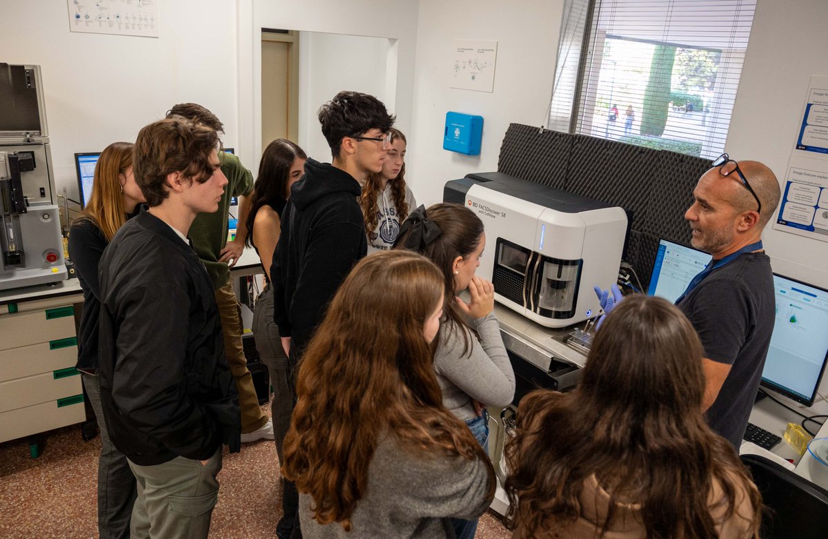 Instituto de Neurociencias UMH-CSIC tweet media