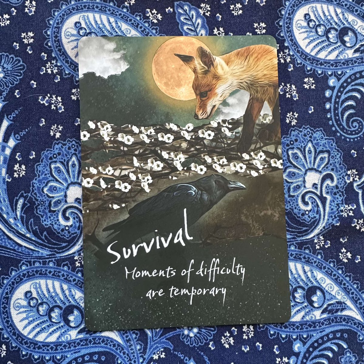 TarotByGraham's tweet photo. Card of the Day: Survival
Moments of difficulty are temporary.
In survival mode, I summon my inner strength and resilience, reminding myself that this is a temporary state on the path to recovery… https://t.co/eQsBskKxPE