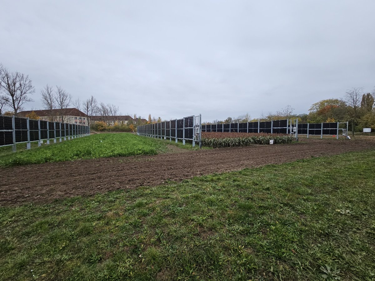 mta-lace.bsky.social tweet media