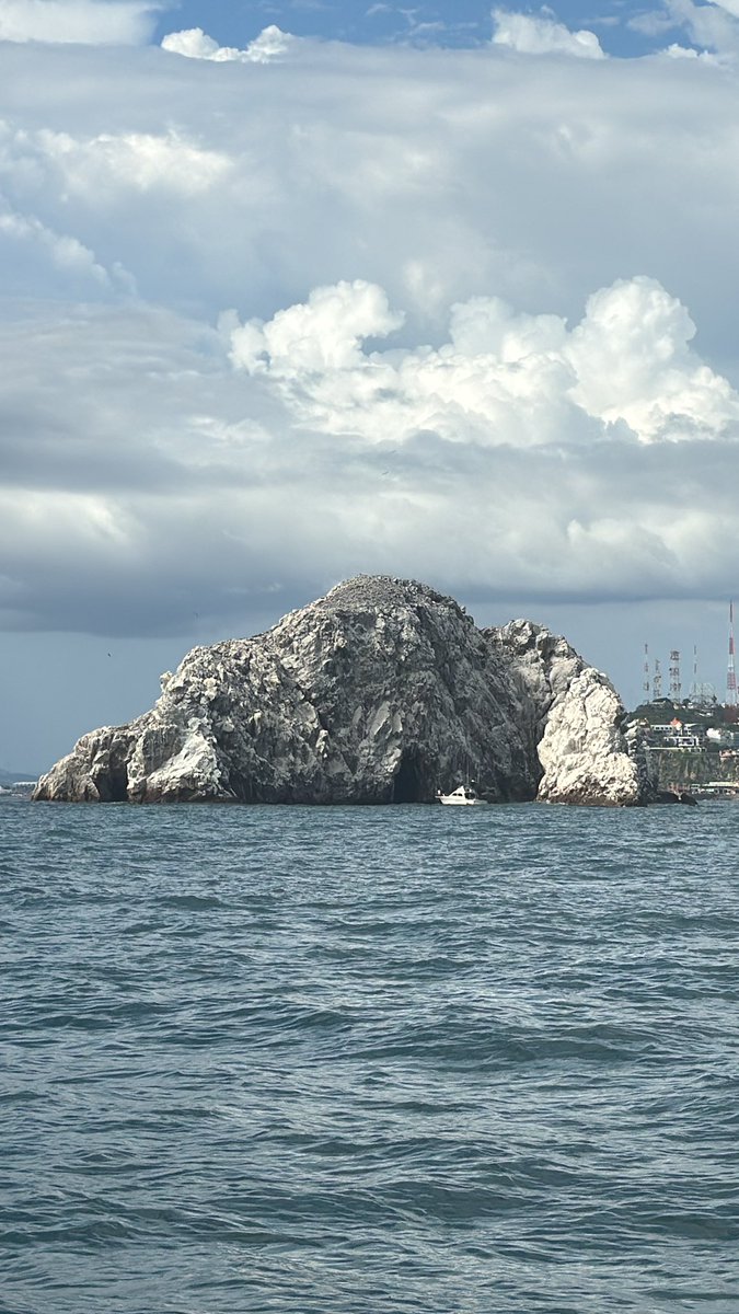 jorgereendon's tweet photo. Vida de mar hace algún tiempo. Arribando a Mazatlán https://t.co/bNoqkm49XO