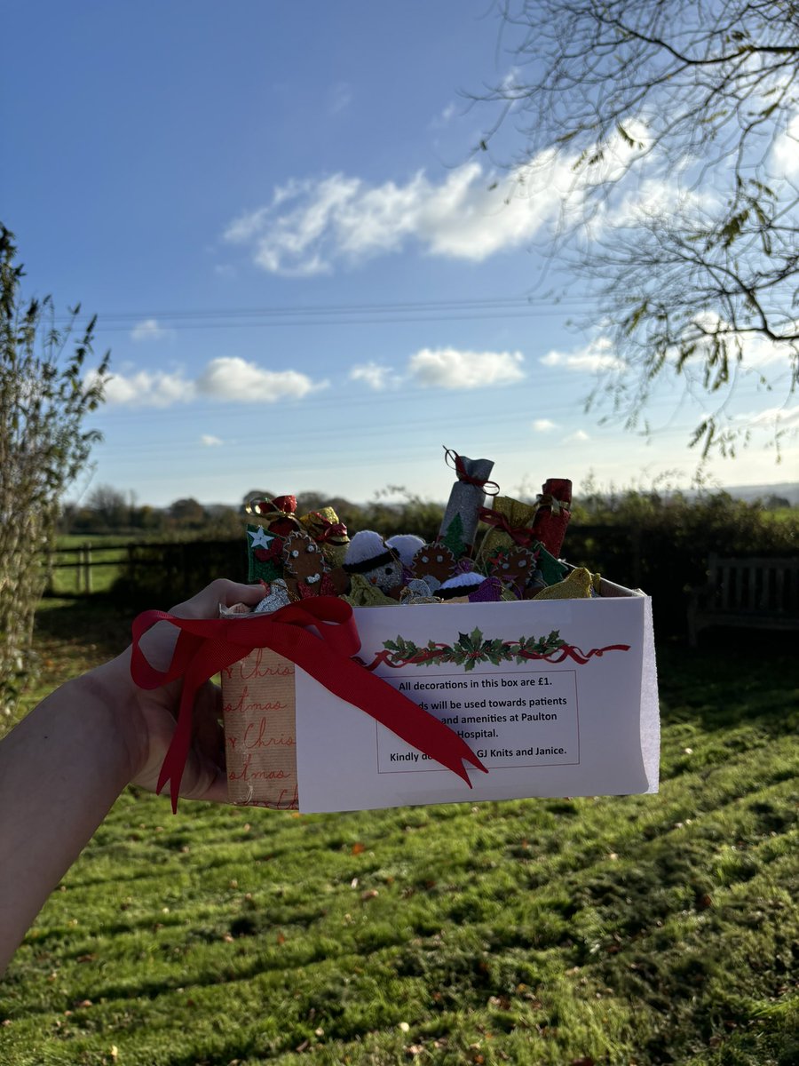 PaultonTherapy's tweet photo. Our Christmas Tree decorations are now on sale at the main reception🎄 

£2 and £1 boxes available. 

Many thanks again to GJ Knits and Janice for their kind knitted contributions, with all proceeds going towards patient comfort &amp; amenities.

Get them before they’re gone! https://t.co/1OH00K6s90