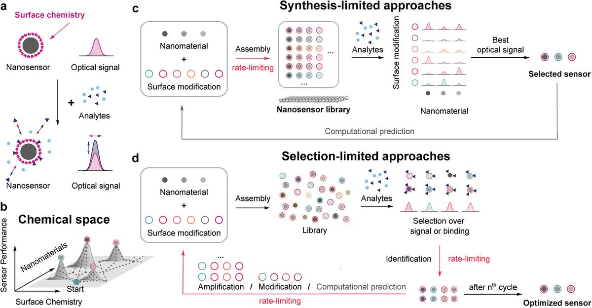 Sebastian Kruss (@krusslab) on Twitter photo Our perspective on high throughput design of nano sensors led by Justus is now online in Advanced Materials <a href="/AdvPortfolio/">Advanced Portfolio News</a>. Especially relevant for <a href="/nanocarbons/">Nanocarbons</a> based sensors but we hope that it outlines the path for any type of nansensor. <a href="/SolvationSci/">Solvation Science</a> <a href="/ruhrunibochum/">Ruhr-Universität Bochum</a> <a href="/Fraunhofer/">Fraunhofer-Gesellschaft</a> Our perspective on high throughput design of nano sensors led by Justus is now online in Advanced Materials <a href="/AdvPortfolio/">Advanced Portfolio News</a>. Especially relevant for <a href="/nanocarbons/">Nanocarbons</a> based sensors but we hope that it outlines the path for any type of nansensor. <a href="/SolvationSci/">Solvation Science</a> <a href="/ruhrunibochum/">Ruhr-Universität Bochum</a> <a href="/Fraunhofer/">Fraunhofer-Gesellschaft</a>