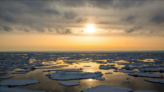 Department of Geographical Sciences (@umdgeography) on Twitter photo 🌊 What else happens when sea ice melts?
In the Bering Sea, declining ice raises ocean energy transfer from winds, increasing wave height and threatening coastal communities, <a href="/UofMaryland/">Univ. of Maryland</a> study finds: go.umd.edu/sea-ice-melting w/ <a href="/AOSC_UMD/">UMD Atmos&Ocean Sci</a> <a href="/FischerReint/">Reint Fischer</a> + <a href="/dr_slfarrell/">Dr Sinead L Farrell</a> 🌊 What else happens when sea ice melts?
In the Bering Sea, declining ice raises ocean energy transfer from winds, increasing wave height and threatening coastal communities, <a href="/UofMaryland/">Univ. of Maryland</a> study finds: go.umd.edu/sea-ice-melting w/ <a href="/AOSC_UMD/">UMD Atmos&Ocean Sci</a> <a href="/FischerReint/">Reint Fischer</a> + <a href="/dr_slfarrell/">Dr Sinead L Farrell</a>