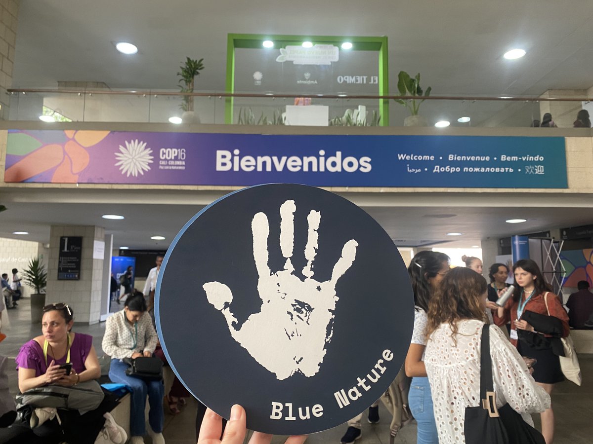 CommsINC's tweet photo. π We are proud to have been part of the #NatureIsAlsoBlue campaign. Its legacy continues at @COP29_AZ and next year at #UNOC3.
Thanks to the partners and everyone who supported & made this campaign possible.
Read more about the outcomes and impact
β‘οΈ https://t.co/Ib7cFTw6RR https://t.co/MMe0BPocJf