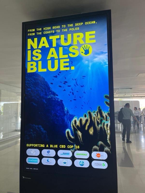 CommsINC's tweet photo. π We are proud to have been part of the #NatureIsAlsoBlue campaign. Its legacy continues at @COP29_AZ and next year at #UNOC3.
Thanks to the partners and everyone who supported & made this campaign possible.
Read more about the outcomes and impact
β‘οΈ https://t.co/Ib7cFTw6RR https://t.co/MMe0BPocJf