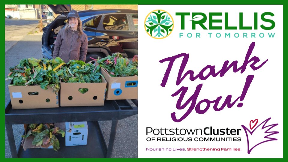 Today, Trellis for Tomorrow donated swiss chard, peppers, and beets to our #Pottstown pantry. Patrons love choosing fresh produce from our inventory. And, we value our relationship with Trellis who thought to share their bounty with us! #PottstownCluster #trellisfortomorrow