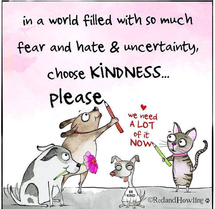 PicklesBottom's tweet image. #FurryTails pals
It's time for this tired ole doggo to hit the road
So long, farewell, auf Wiedersehen, good night
So long, farewell, adieu
Adieu, adieu, adieu, to yieu and yieu and yieu
On #WorldKindessDay 
I wish you kindness
#KindnessMatters
It costs nothing to be kind