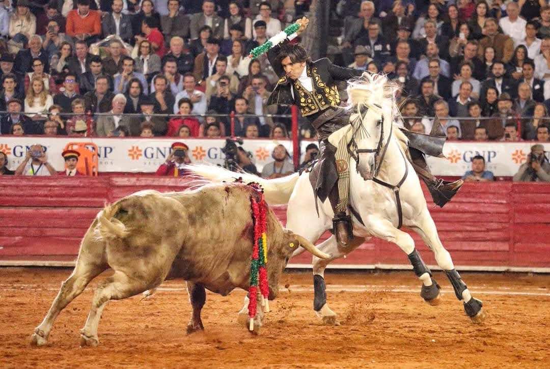 Toros sin sangre, mejor deberían preocuparse por un Mexico sin sangre
