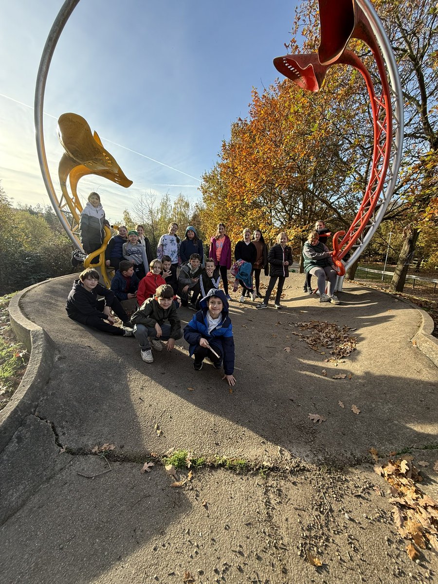 Kingswood Y6!