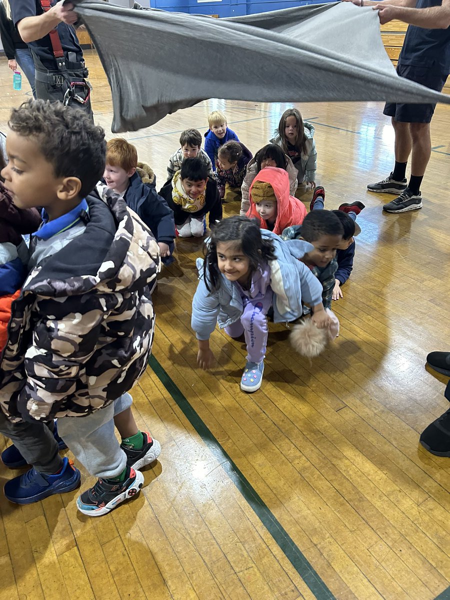 Ms. Ferrante tweet media