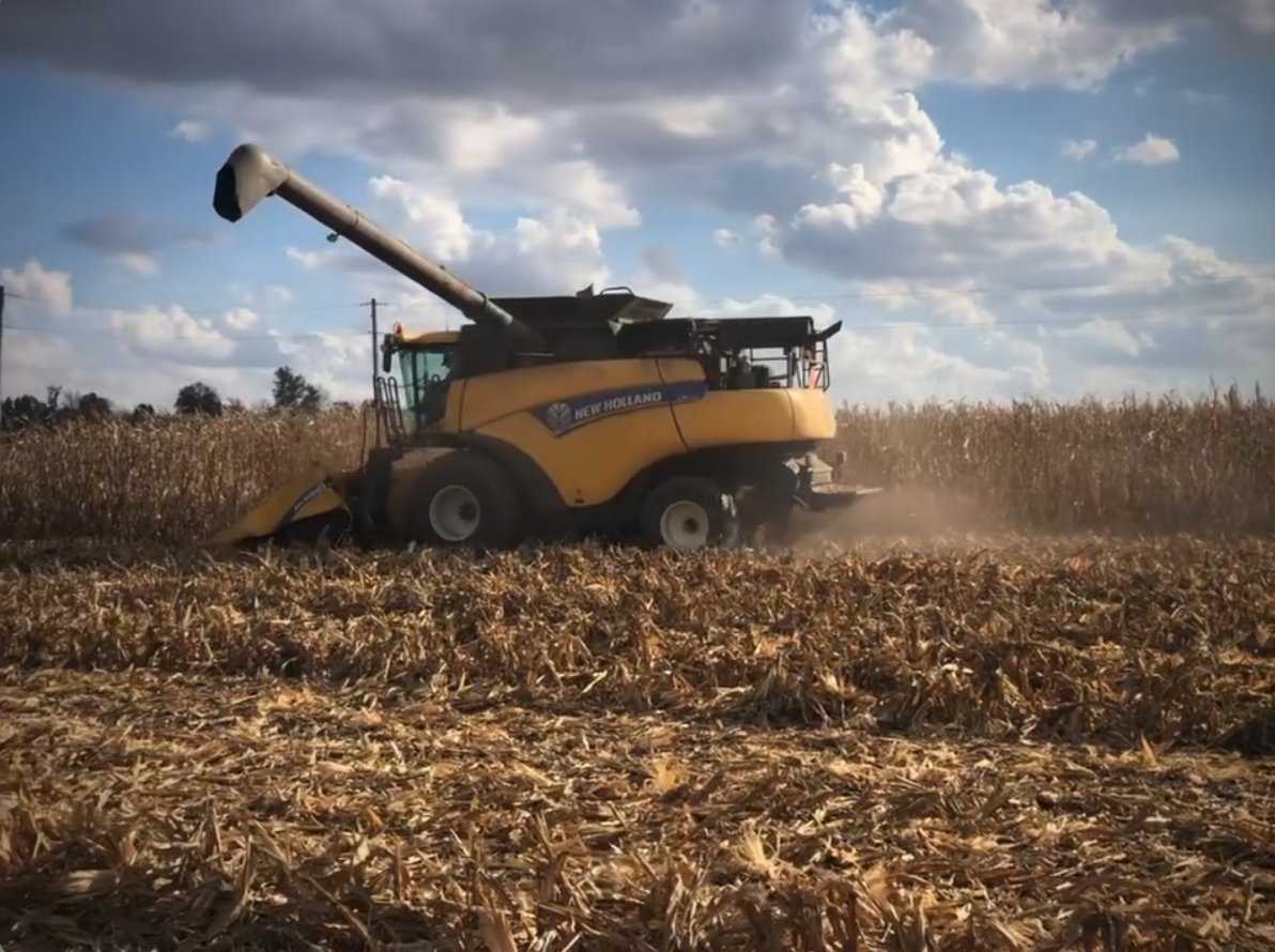 Show us how you’re winning big this harvest! Share your best harvest moments for a chance to win amazing prizes. 🏆

How to Enter: 
Share your best harvest photo or video 📸 
Tag @BrevantSeedsUS
Tell us what state you're located in 🌍 

#Harvest24 #BrevantSeeds #BrevantHarvest