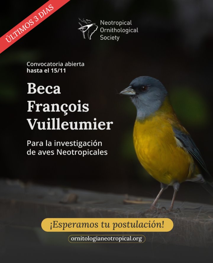⚠️¡Sólo te quedan 3 días para postularte a las #Becas "François Vuilleumier"! 

¿Sabías que si ganas obtienes un año de membresía gratis?  

✅Para aplicar debes ser miembro de la Sociedad de Ornitología Neotropical.    

🔗 Más información aquí:
ornitologianeotropical.org/blog/funds