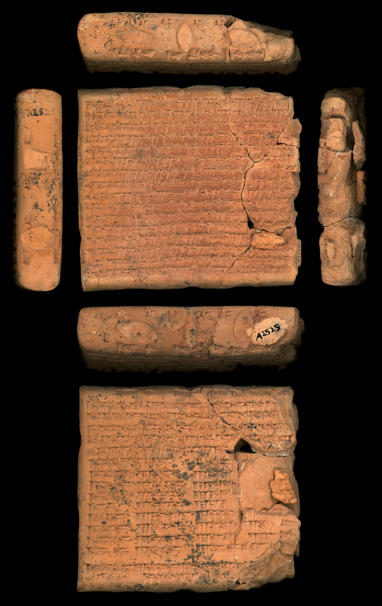 Institute for the Study of Ancient Cultures tweet media