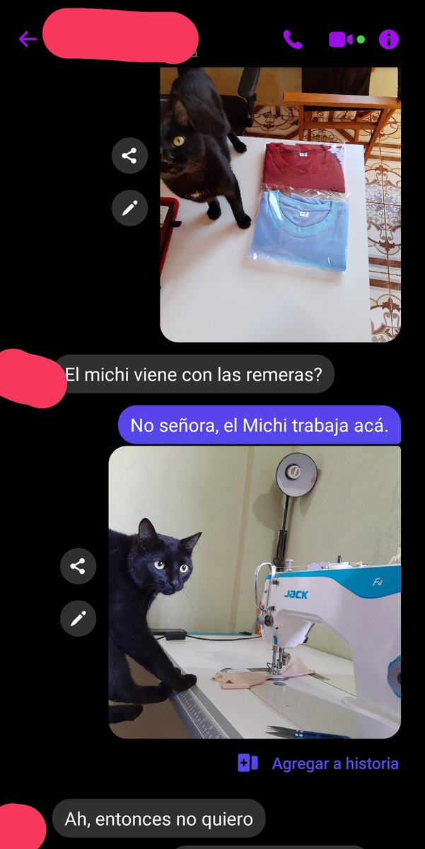 Alejo tweet media