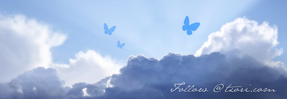 Tweet media one