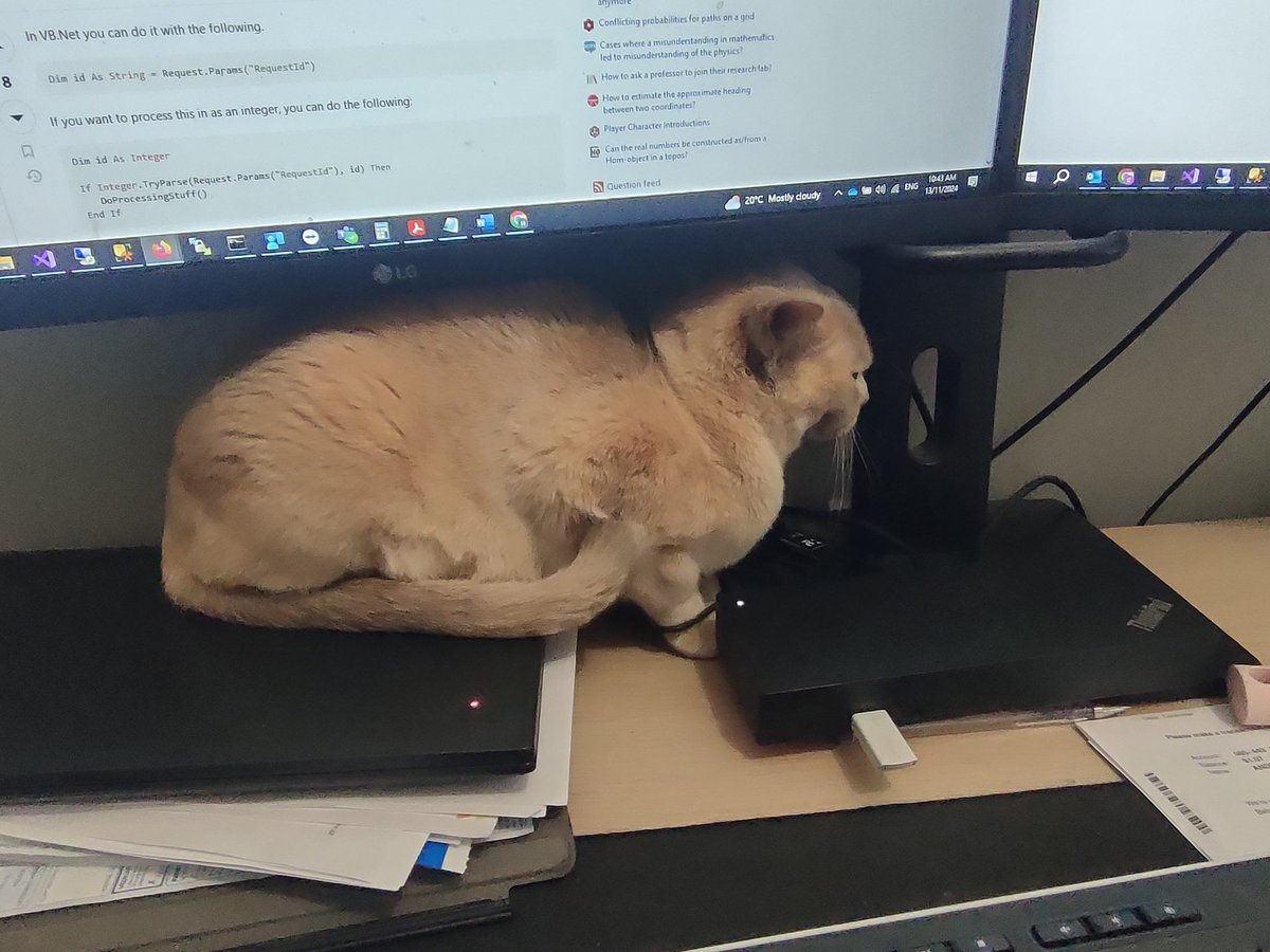 Zorbafit tweet media