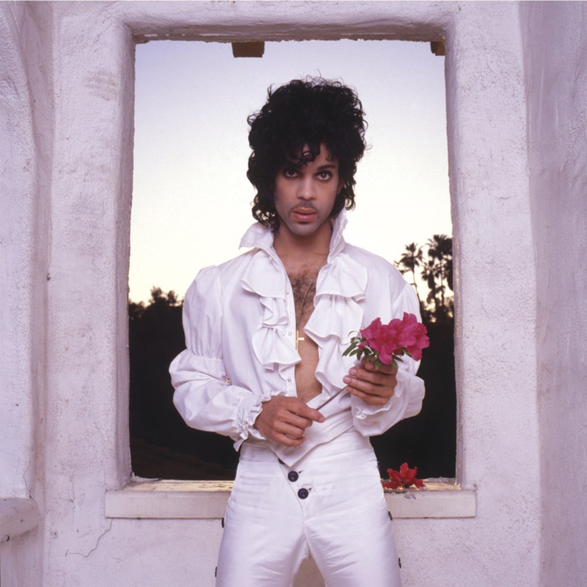 On this day in 1984, Purple Rain was certified multi-platinum by the RIAA with over 8 million copies sold. It was also Prince's first album to top the Billboard 200, holding the #1 spot for 12 consecutive weeks. 💜