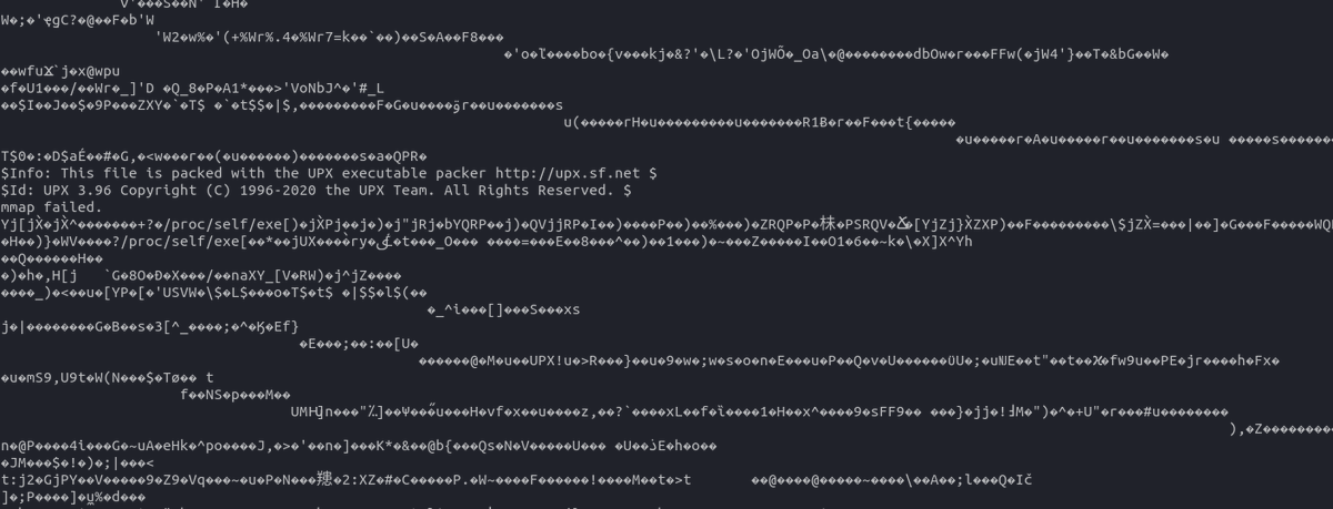 SecureSh3ll's tweet image. 🪱 confirmed. #UPX #GO #Unknow #Malware