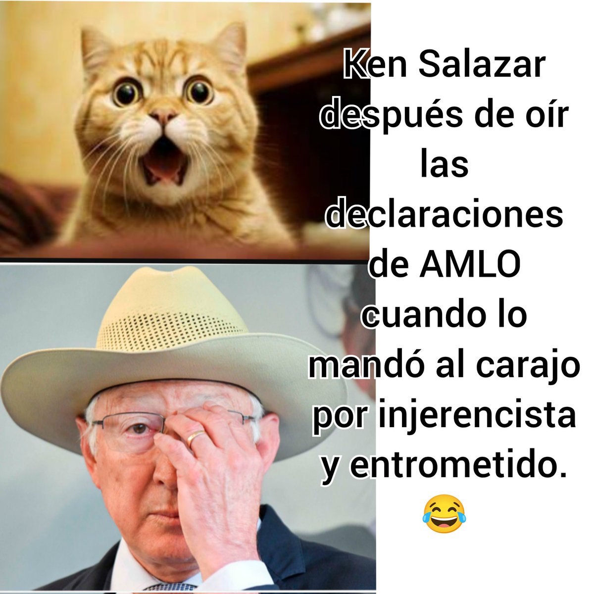 Shinobi7ninji's tweet photo. 🚨"¿Usted qué tiene qué meterse?"
Fué la respuesta contundente del Presidente López Obrador @lopezobrador_  a Ken Salazar @USAmbMex.

La embajada de EEUU se retractó de su injerencismo y hoy muy "Valiente" dice que AMLO no quiso dinero de los gringos.
Ni qué fuera @ClaudioXGG 🤮 https://t.co/vTAZMdz3xq