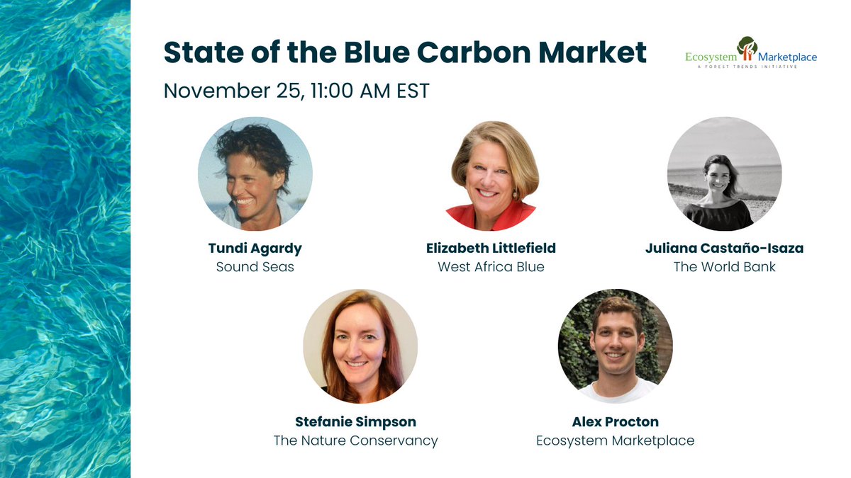 TODAY @ 11am EST: Join us for a discussion on the State of the Blue Carbon Market, plus strategies to scale investment in blue carbon ecosystems. Register: us06web.zoom.us/webinar/regist… <a href="/TundiAgardy/">Tundi Agardy</a> <a href="/elittlefield/">ElizabethLittlefield</a> <a href="/WorldBank/">World Bank</a> <a href="/nature_org/">The Nature Conservancy</a>